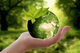 Woman holding dew drop with leaves in nature