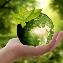 Woman holding dew drop with leaves in nature